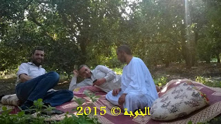 الحسينى محمد , رجب الشبراوى , ايمن لطفى الحسينى محمد , رجب الشبراوى , ايمن لطفى