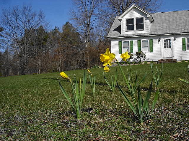 Park Hill Farm