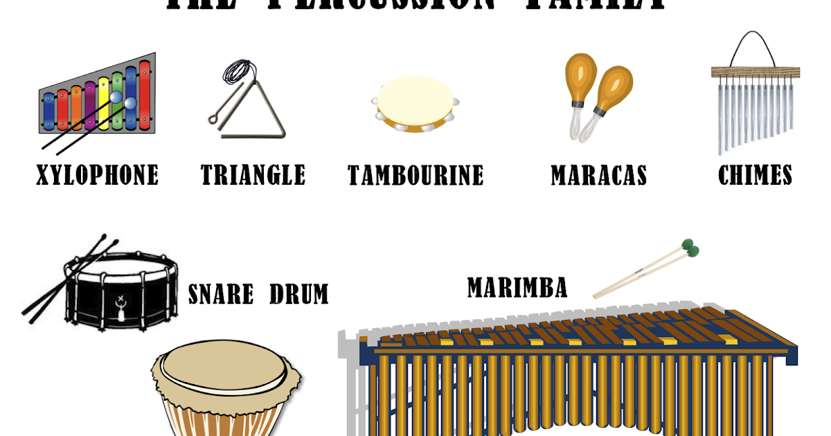 Stomp The Rhythm Percussion Instruments, Rhythm