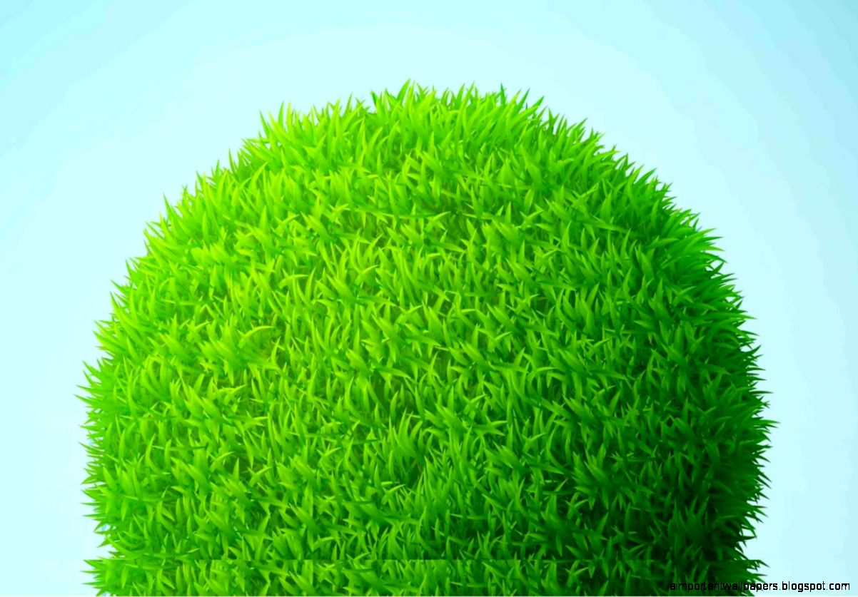 Green Grass Wallpaper Android Apps on Google Play Green Grass Wallpaper Android Apps on Google Play