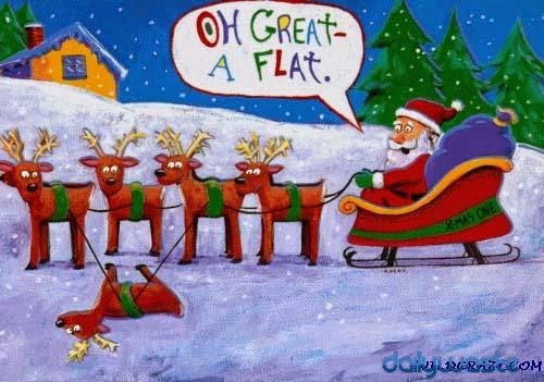 Funny Christmas Card Quotes | New Quotes Life