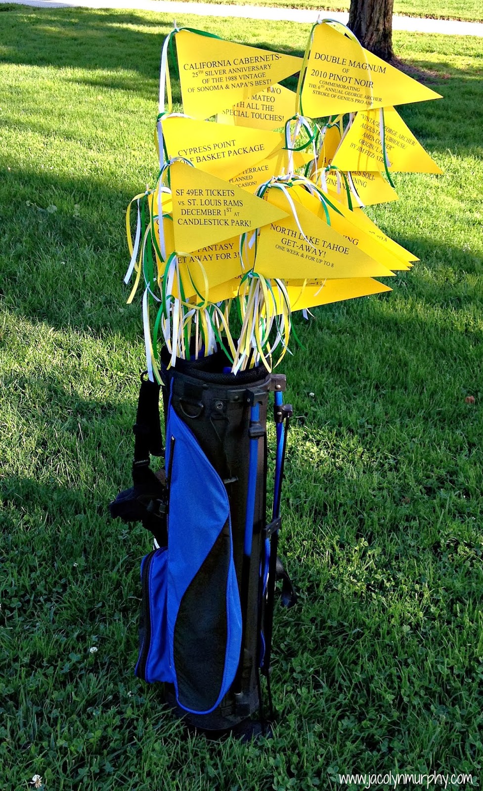 Jac o' lyn Murphy Golf Tournament Flags
