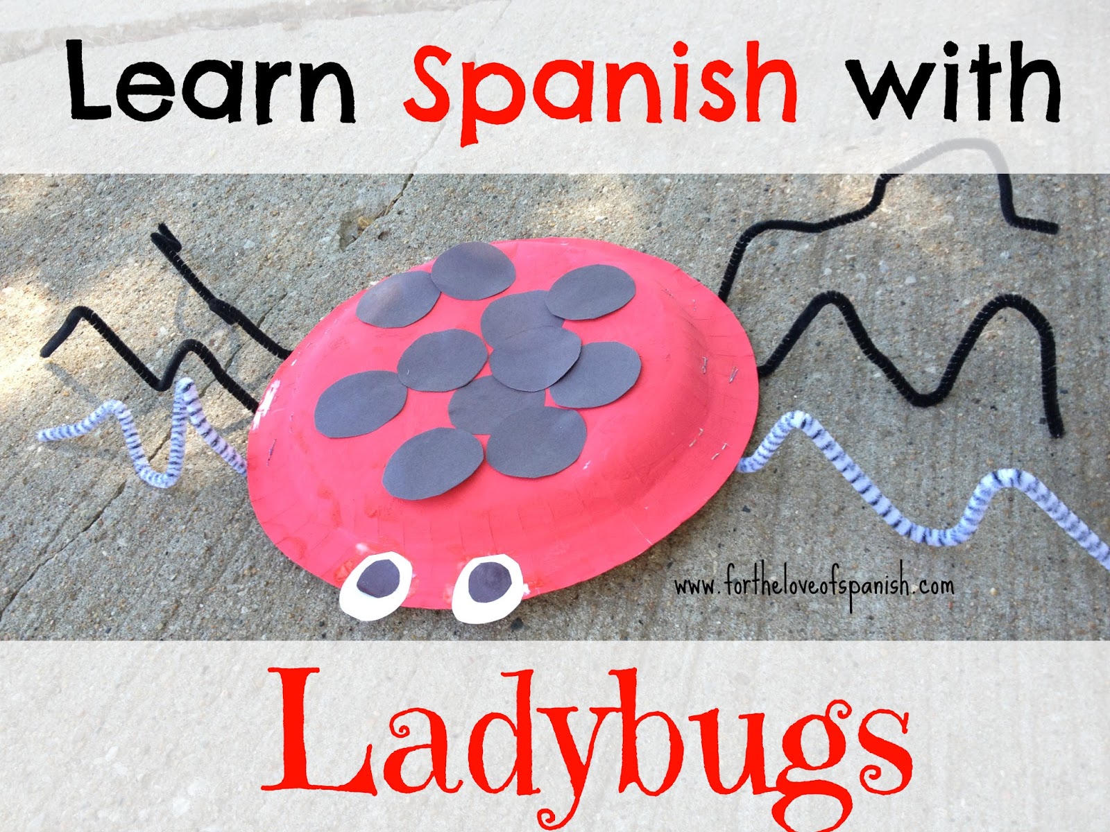 Learn Spanish with Ladybugs // Las mariquitas y sus colores For the