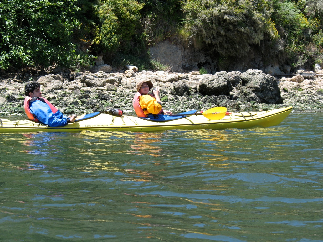 crazy little thing called blog Kayaking in Tomales Bay