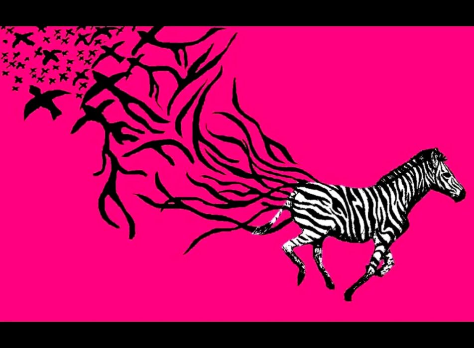 Pink Zebra Backgrounds for Computers Pink Zebra Backgrounds for Computers