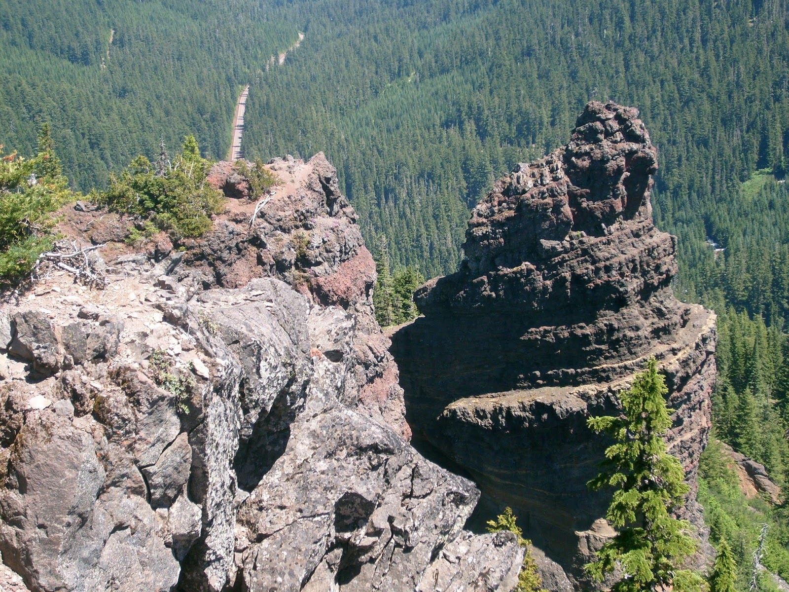 Casing Oregon Wildflower Hikes Iron Mountain