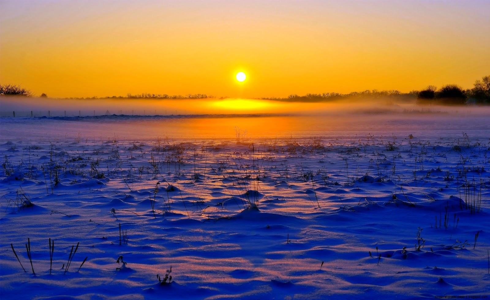 Winter Sunset Landscapes Winter Sunset Landscapes