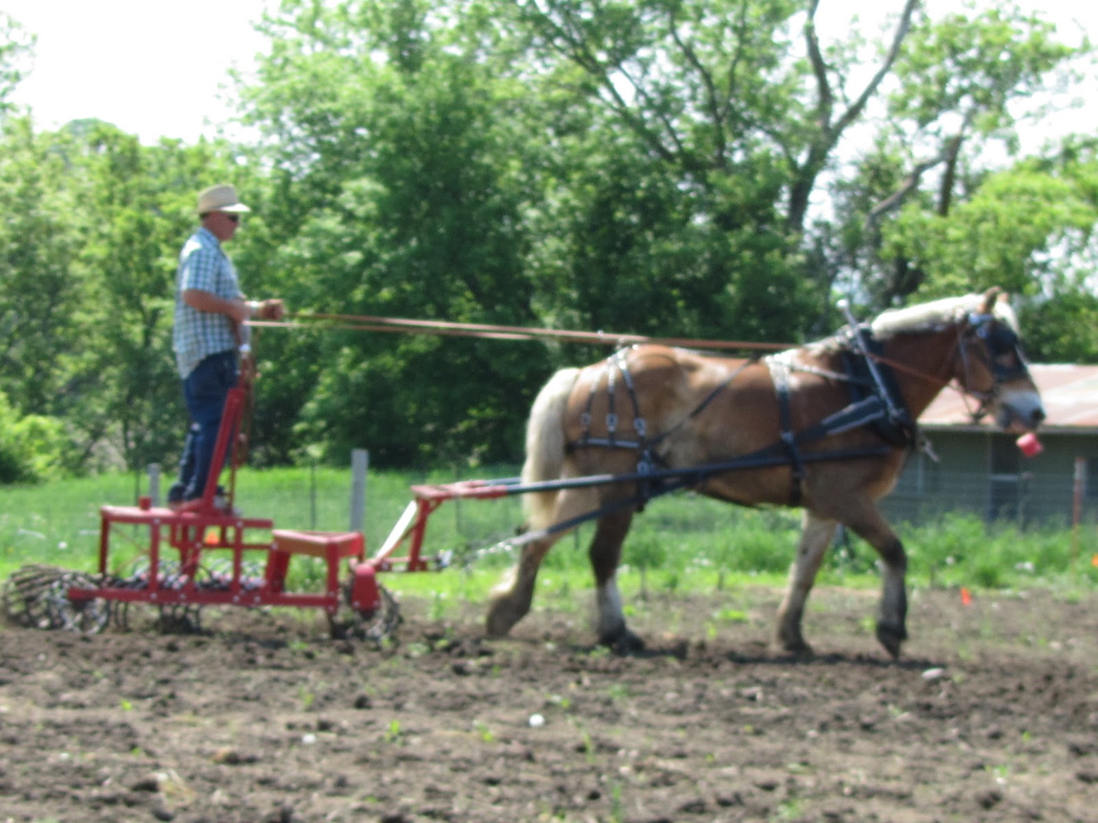 Kim Hadwen Pioneer Horse Equipment