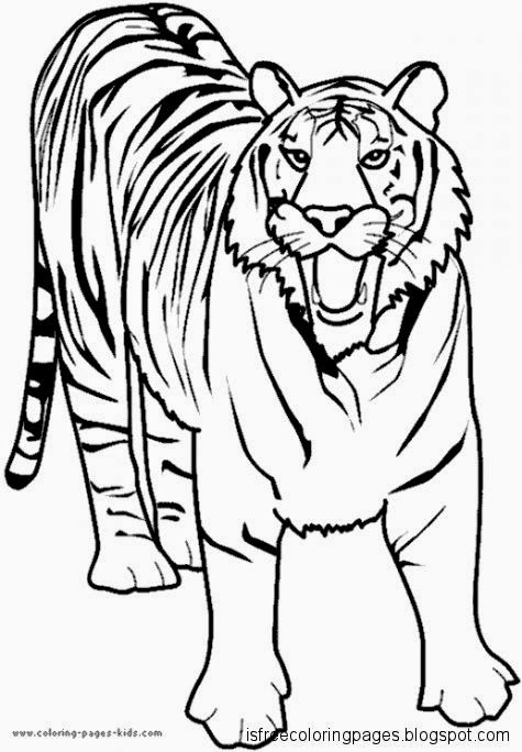 Lions And Tigers Coloring Pages | Free Coloring Pages