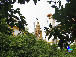 Sevilla - Plaza de doña Elvira