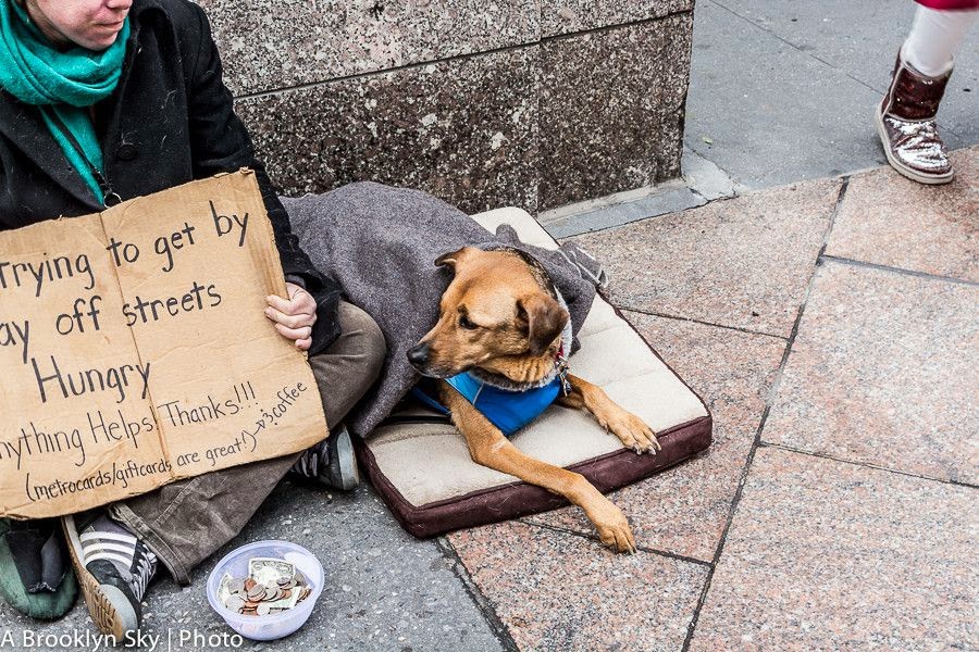 35 Heartwarming Photographs of Homeless People with Their Dogs Best Photography, Art