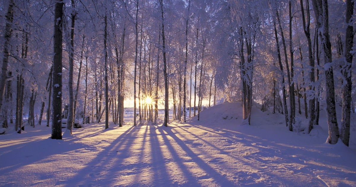 Bezaubernde winter fensterdeko zum selber basteln Weihnachten, Winter: Weihnachten Schnee