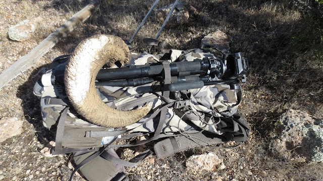 AZ+Desert+Sheep+Outfitters+and+Guides+hunting+photos+Unit+22+with+Colburn+and+Scott+Outfitters+7.JPG