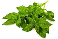 Tips diet dengan daun kemangi Tips diet dengan daun kemangi
