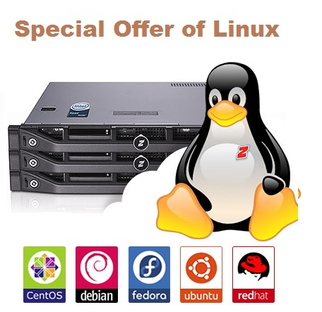 Systems webcam software linux