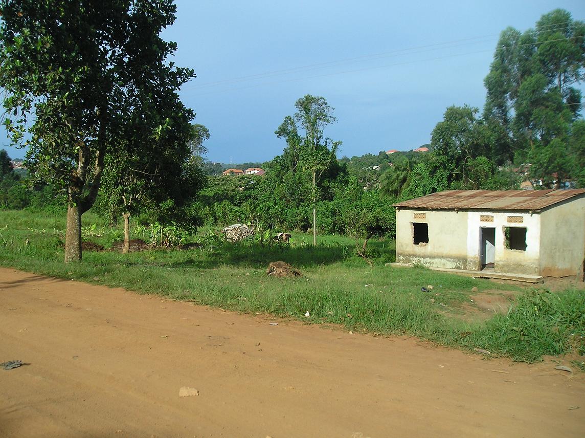 William Kituuka Kiwanuka DEBATE REGARDING LAND EVICTIONS IN UGANDA