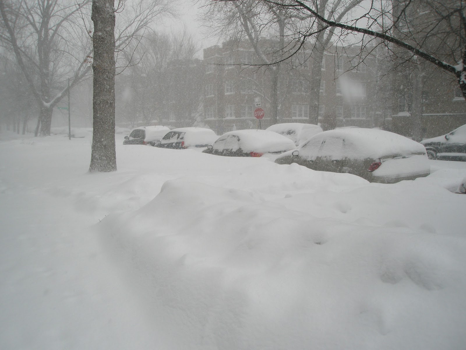 Blizzard Weather Symbol