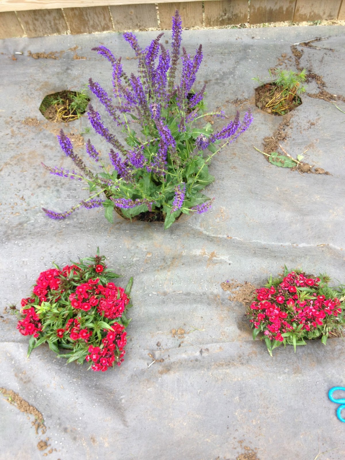 Emily Ann Interiors Installing A New Flower Bed