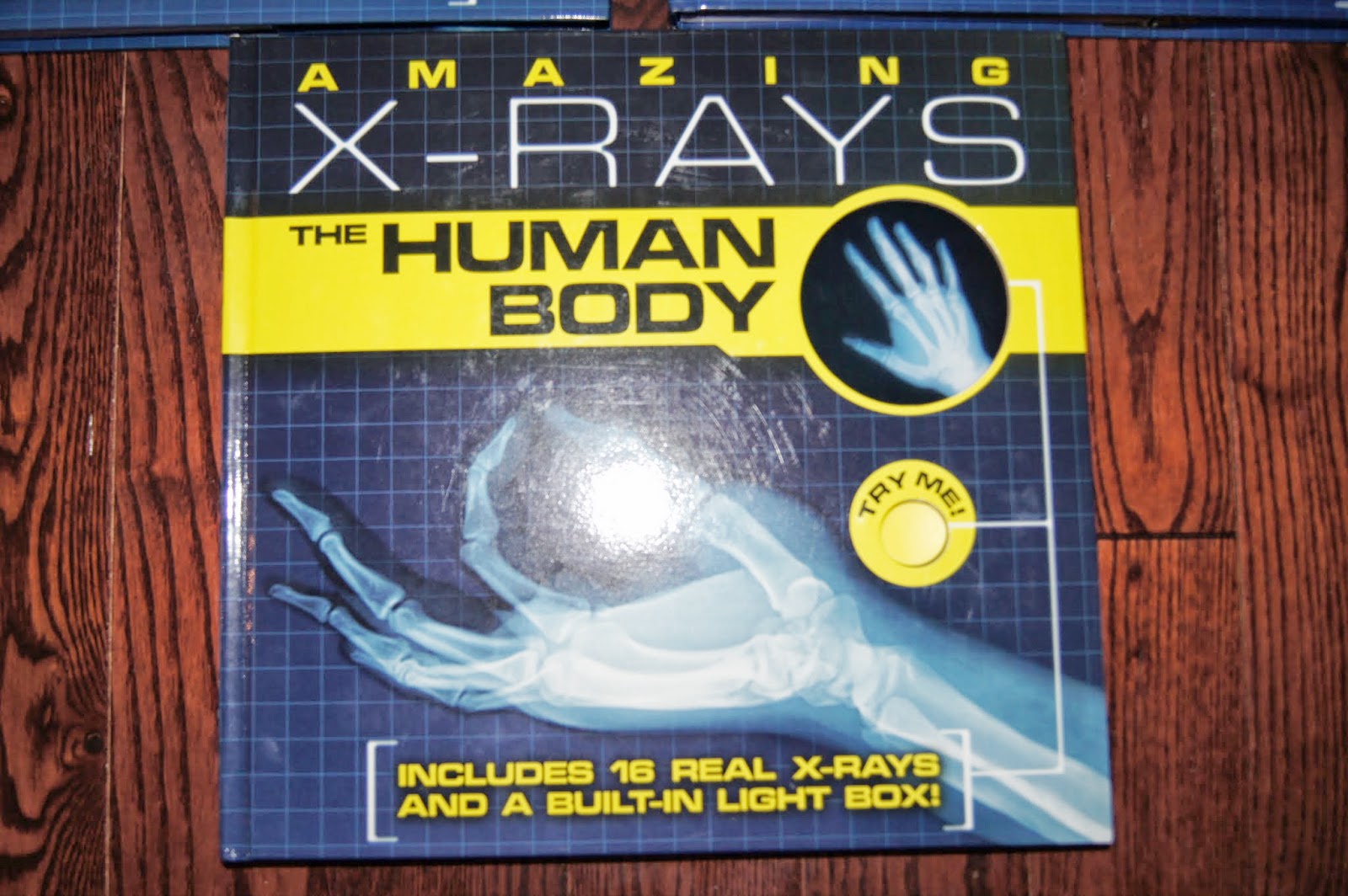 XRay Books For Kids "Making Montessori Ours"