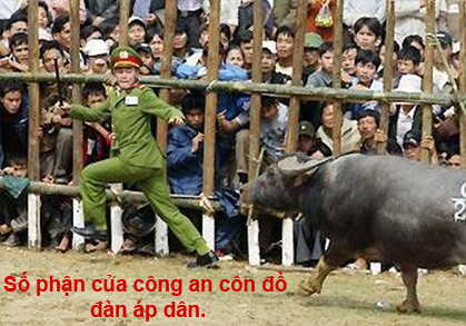 Luật rừng và đám đông hung hãn ở Việt Nam  C%C3%94N+an+++text