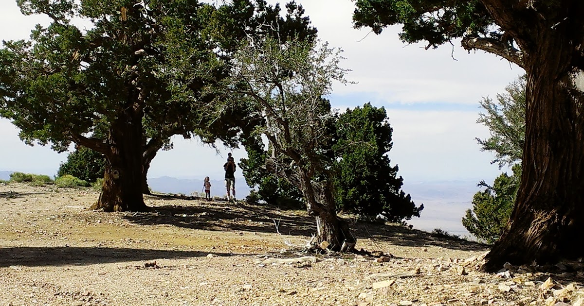 Review Hikes and Books Onyx Peak near Big Bear Lake