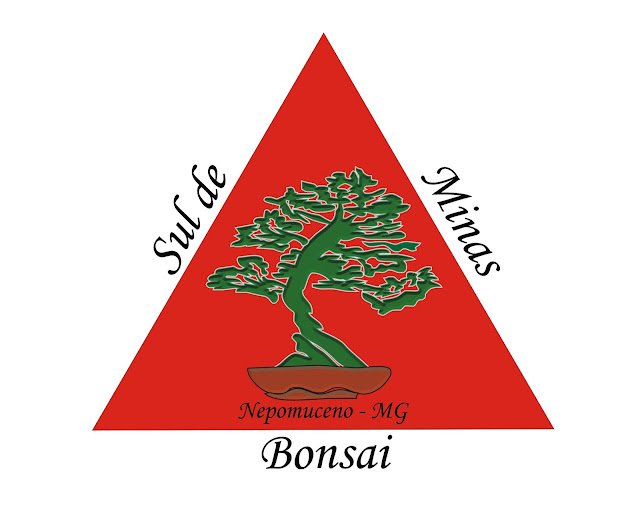 Sul de Minas Bonsai