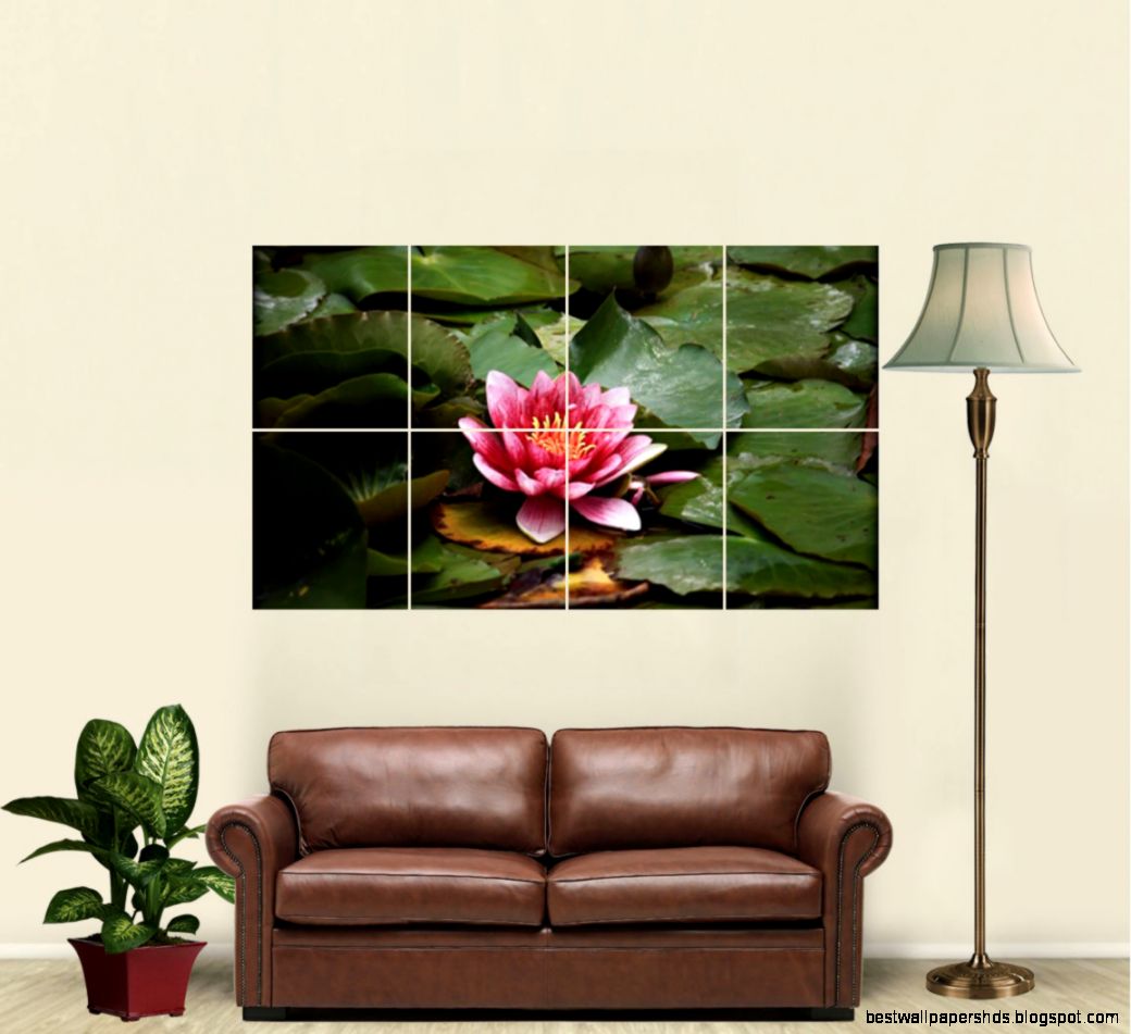 RED Lotus Resting ON THE Pond Giant ART Print Poster JW811069 eBay RED Lotus Resting ON THE Pond Giant ART Print Poster JW811069 eBay
