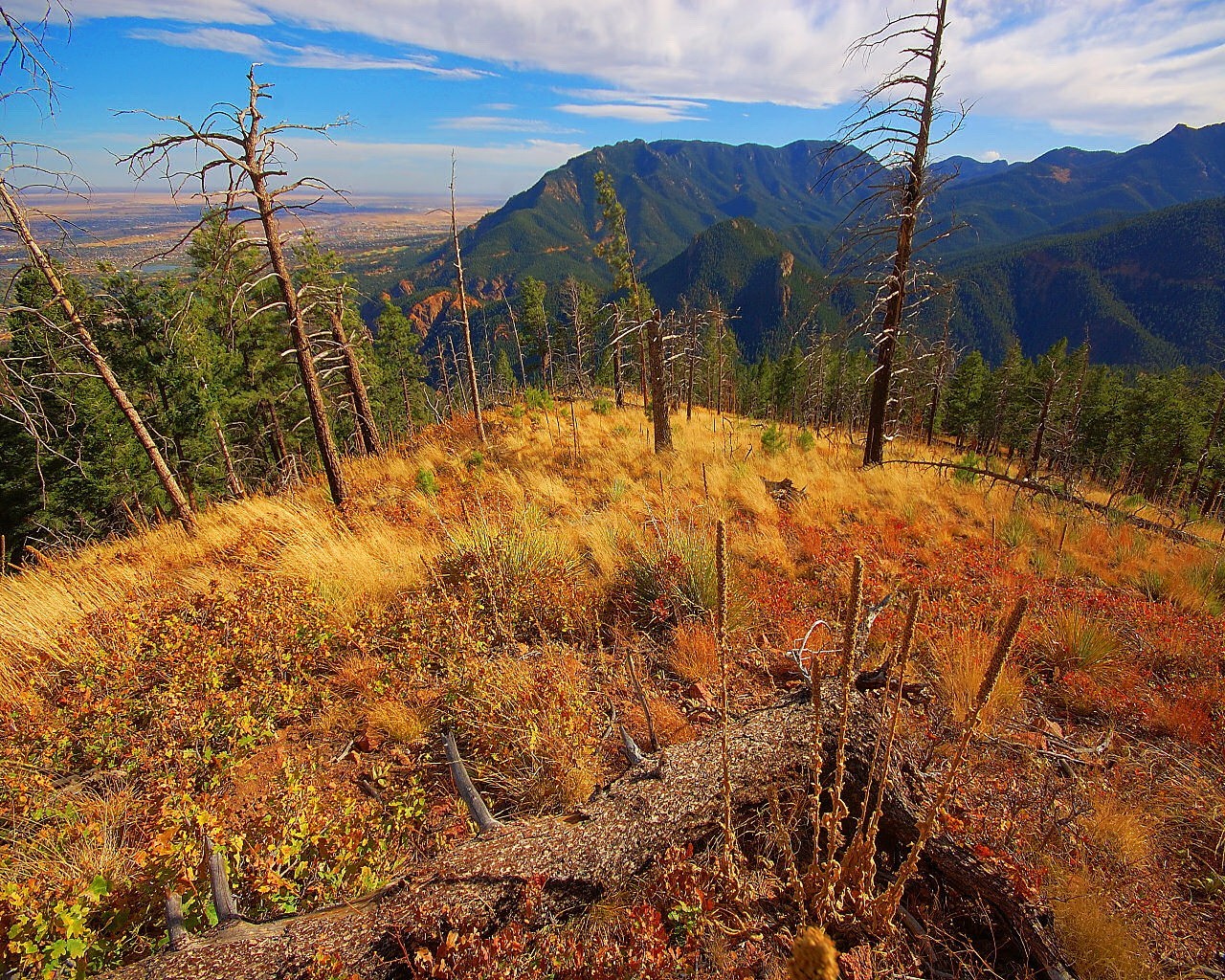 Landscape HD Wallpaper