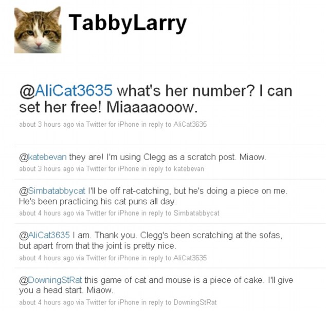 Larry the No 10 cat drafted in as official rat catcher of Downing