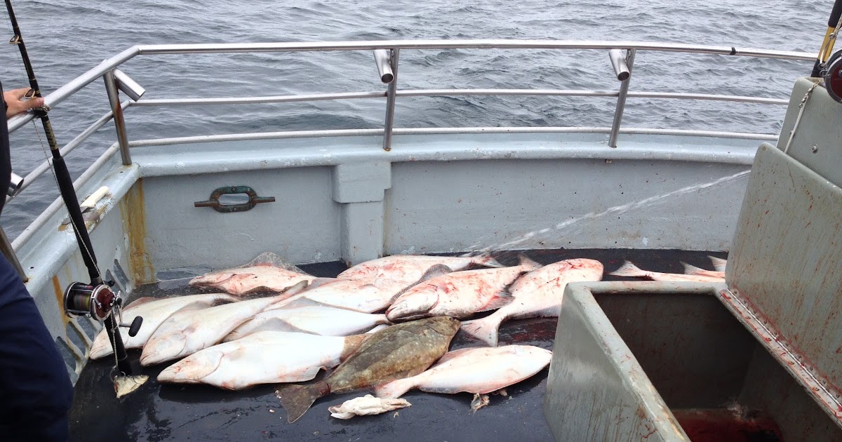 Adventure Halibut Fishing with North Country Charters Guide for