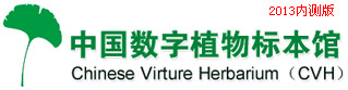 Chinese Virtual Herbarium (CVH)