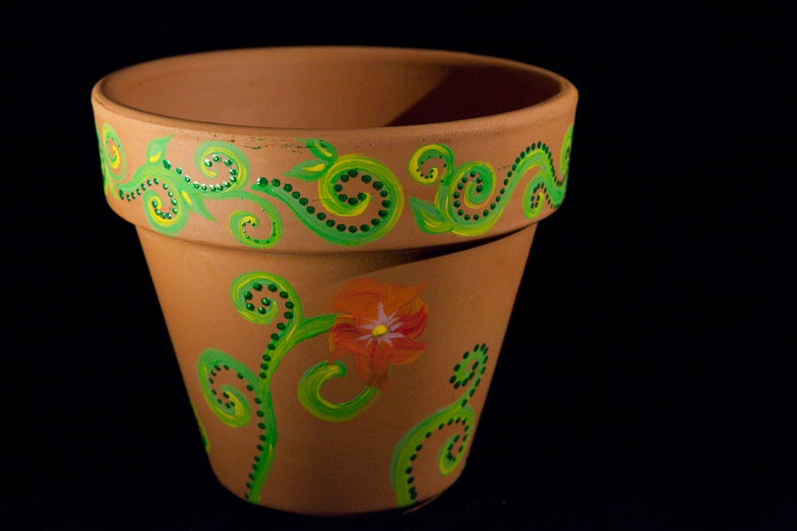 Lauren Petrovic Photography HandPainted Terracotta Pots FOR SALE!!!