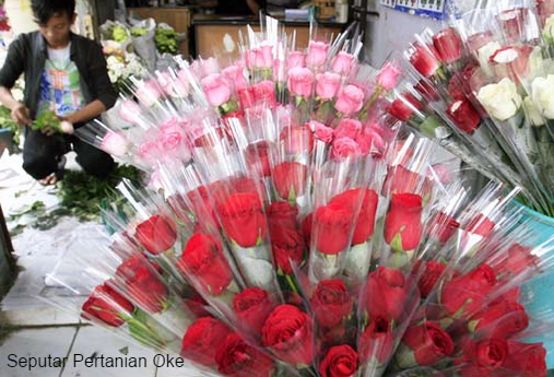Peluang Usaha Modal Kecil 2016 Jual Bunga Mawar Potong Bermacam Tanaman Hias