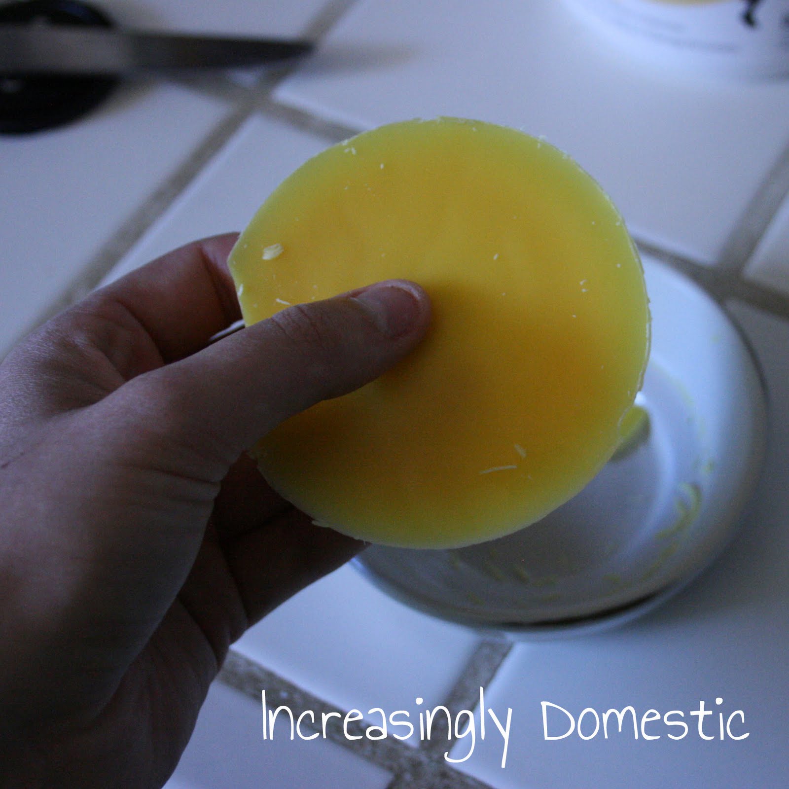 Increasingly Domestic How to remove wax from Scentsy Warmers