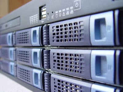 Managed Hosting Server