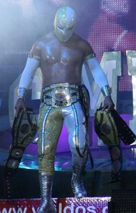 El negocio de la koko ni sensei