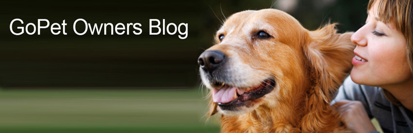 GoPet Owners Blog