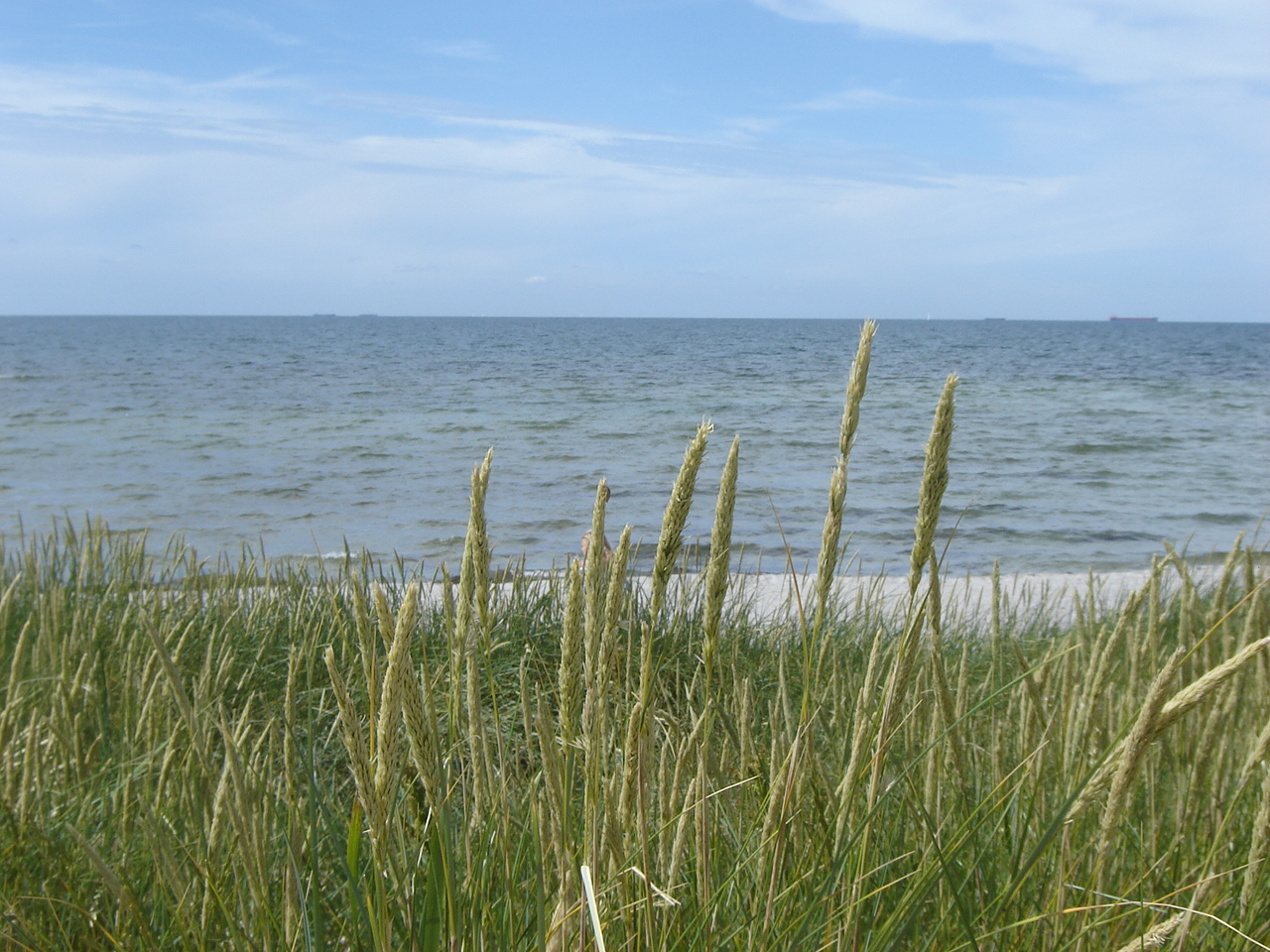 dejting för unga under 18 juli