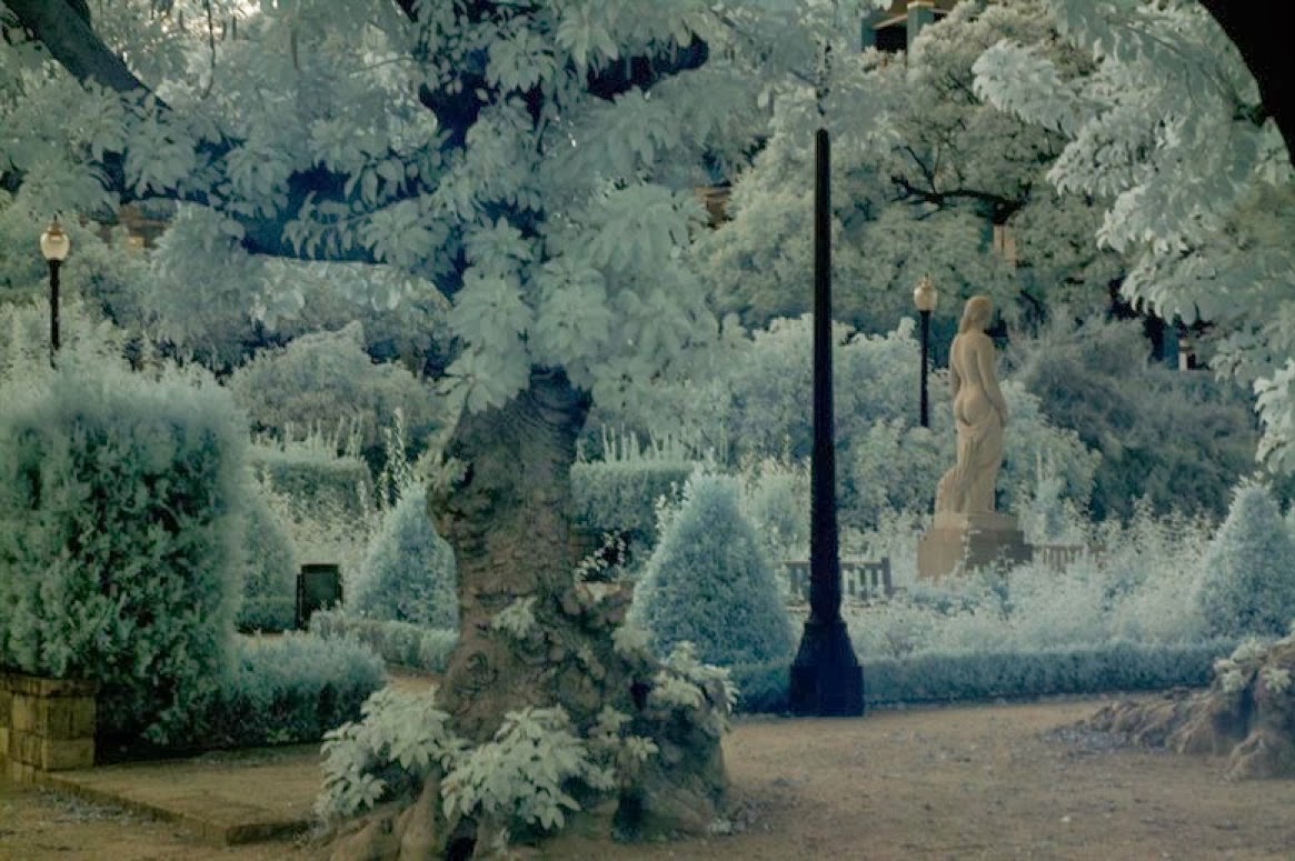 Lou Reed Romanticism