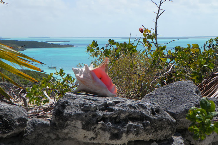 Lee Stocking Island Anchorage