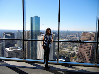 The view from the Chase Tower Sky Lobby in Houston, TX