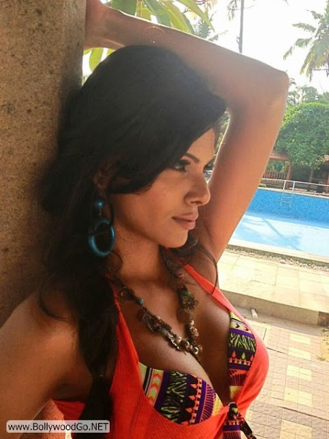 sherlyn-Chopra-+(7) Sherlyn Chopra Gorgeous Pictures from MTV indianudesi.com