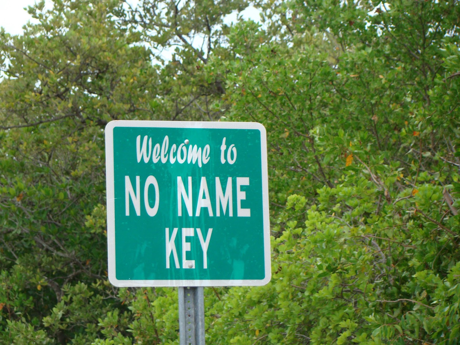 Key West Roadtrip Our day on Big Pine Key & No Name Key