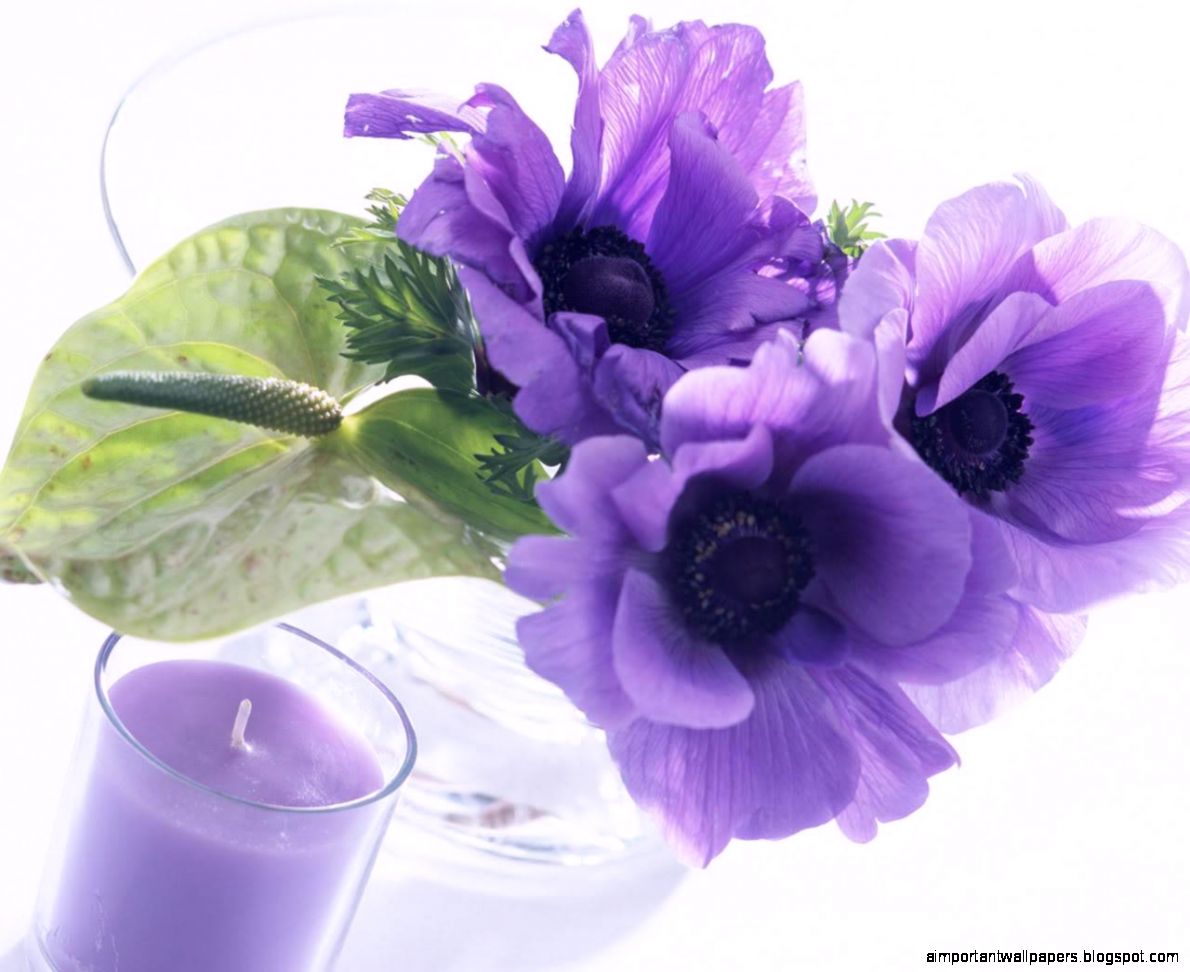 wonderful purple 1280x1024 wallpaper wonderful purple 1280x1024 wallpaper