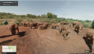 Walk alongside the elephants of the Samburu National Reserve in Street View