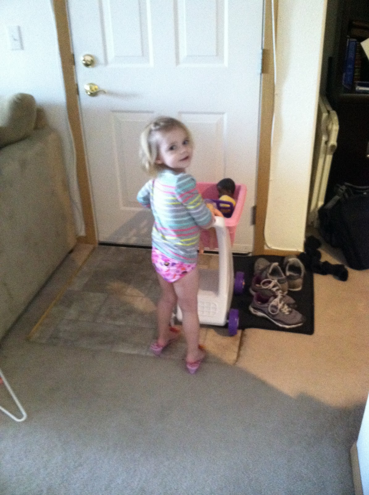 Smith 3 Day Potty Training