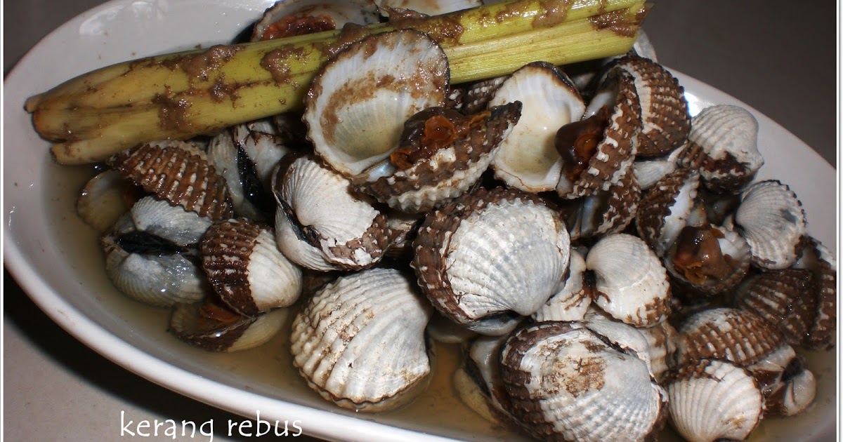 sEglaNy diSiNi KERANG REBUS