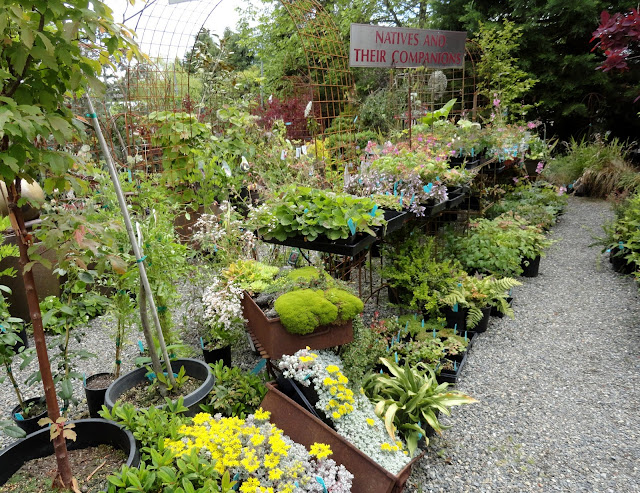 Fall Archives Diana S Designs Austin