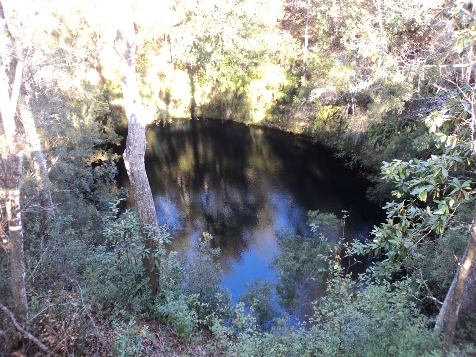 Mathprofhiker S Trail Journal Apalachicola National Forest