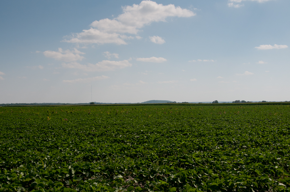 Take a Scroll Along the Trails...